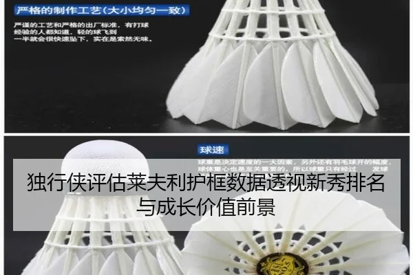du-xing-xia-ping-gu-lai-fu-li-hu-kuang-shu-ju-tou-shi-xin-xiu-pai-ming-yu-cheng-zhang-jia-zhi-qian-jing-2-736.jpg